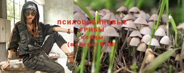 винт Алексин