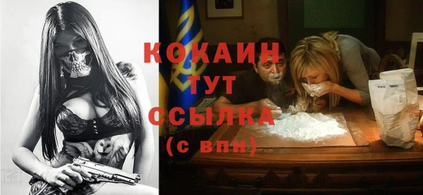 гашик Алзамай