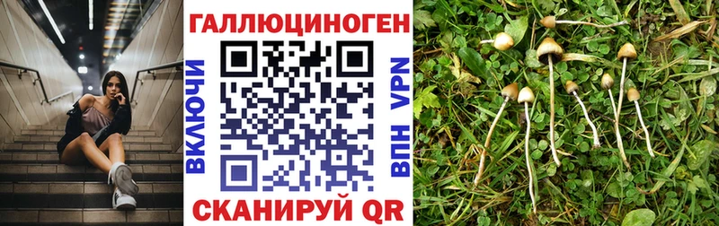 Галлюциногенные грибы GOLDEN TEACHER  Арамиль 